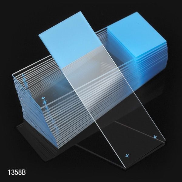 Globe Scientific Diamond Frosted Microscope Slides, 25x75mm, Blue, Charged White Glass, 90D Ground Edges, 72/Case