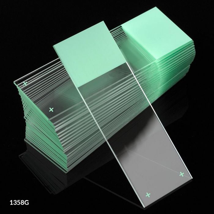 Globe Scientific Diamond Frosted Microscope Slides, 25x75mm, Green, Charged White Glass, 90° Ground Edges, 72/Case
