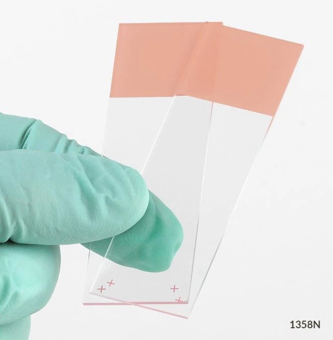 Globe Scientific Diamond Frosted Microscope Slides, 25x75mm, Orange, Charged White Glass, 90D Ground Edges, 72/Case