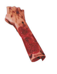 Burn Forearm 1st/2nd/3rd Degree Training Moulage, EMT Casualty Kit