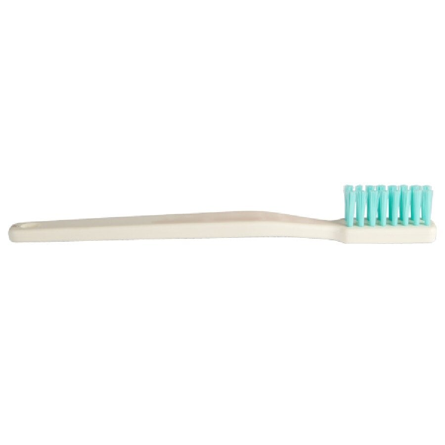 Brush-N-Floss Study Model Oversized Toothbrush, White, Training Tool, 1/Pkg