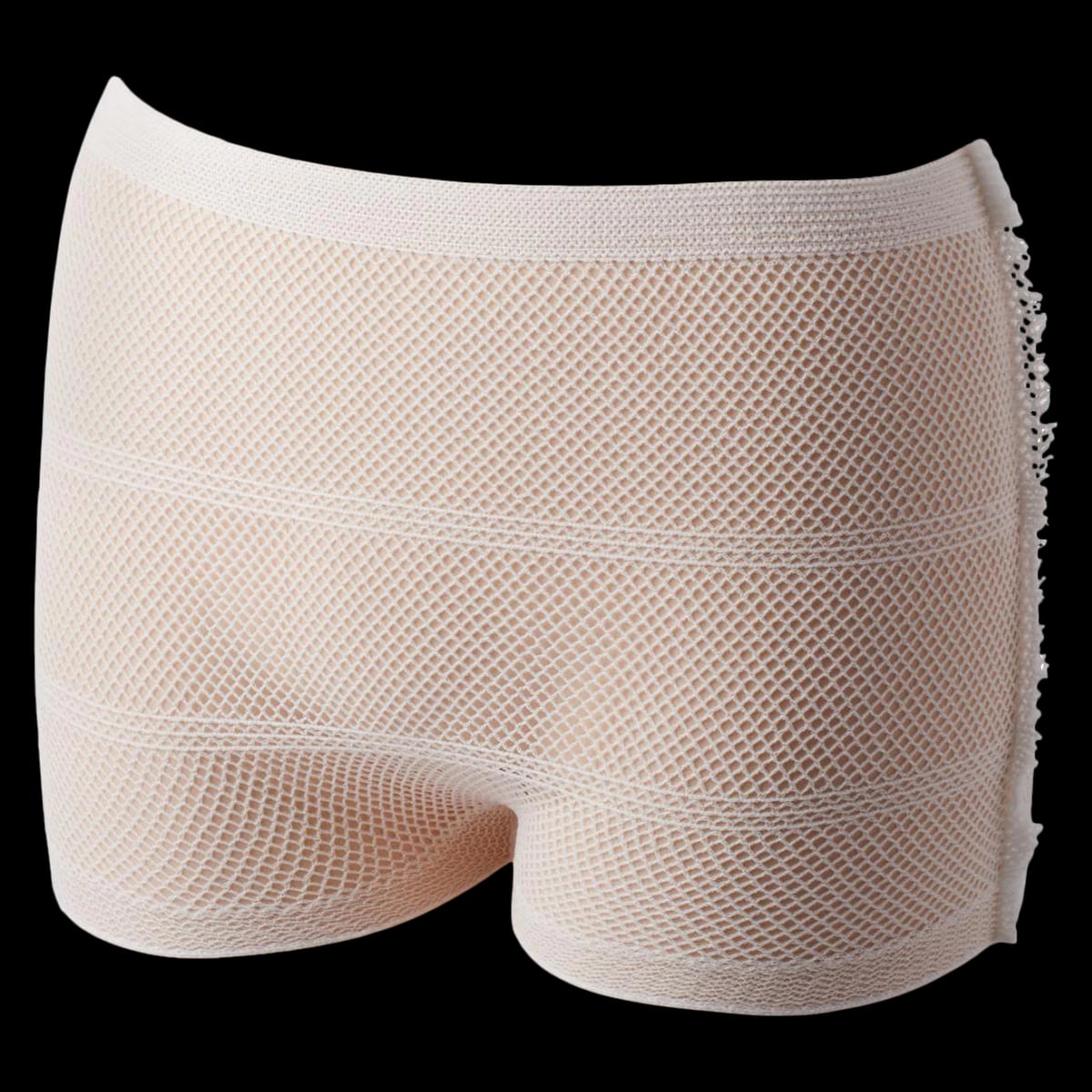 Protection Plus Mesh Pants, Unisex Adult Incontinence Pull-Up, Nonabsorbent, White, 30-45" Waist, 400/Ca