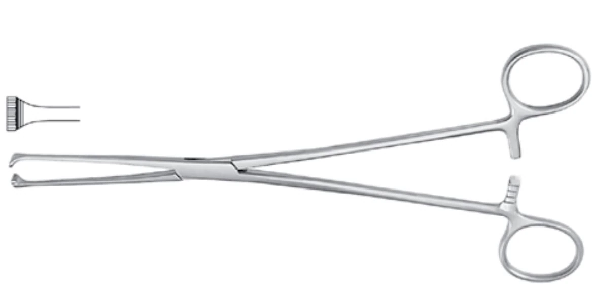 Meister-Hand Allis Tissue Forceps, 8" Stainless Steel, Each