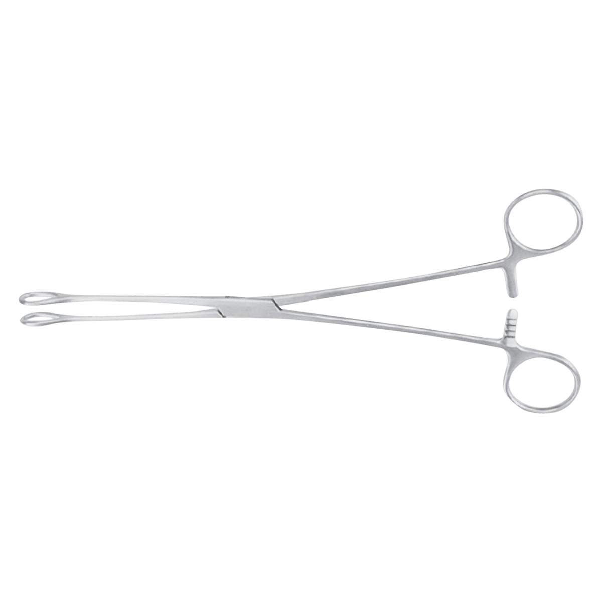 Meister-Hand Foerster Sponge Forceps, Straight, 9-1/2", Stainless Steel, Autoclavable, Each