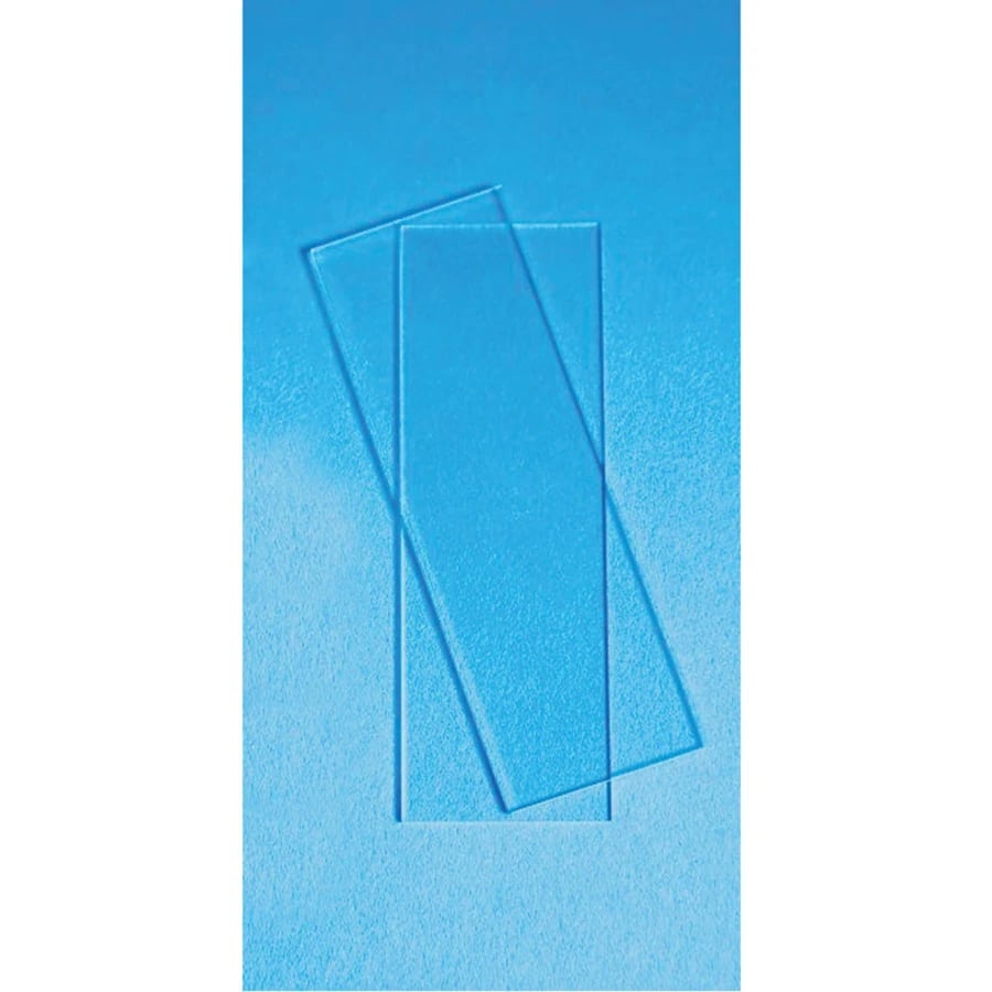 Fisherbrand Economy Plain Microscope Slides, 3x1 inch, Clear, Grounded Edges, 144/Pk