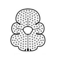 Ossur Cold Rush Cold Therapy Pad, Knee, Large