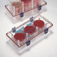 BD GasPak EZ Large Incubation Container, 30 Capacity, Each