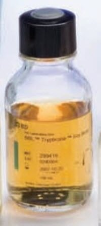 BBL Trypticase Soy Broth (TSB), 100 mL Septum Screw Cap, 10/Pk