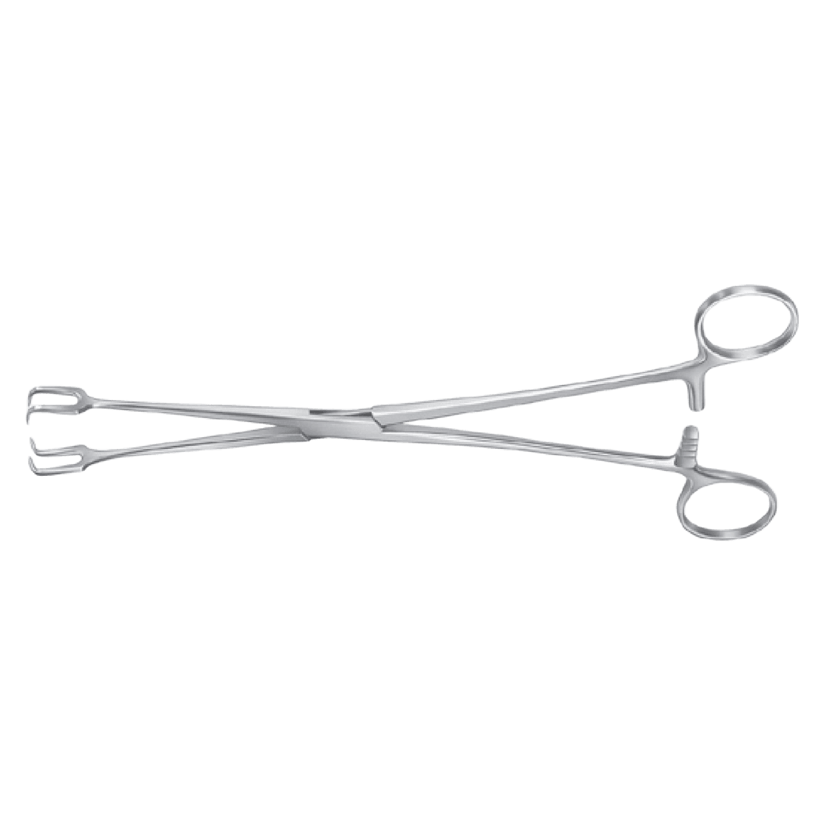 Meister-Hand Schroeder Vulsellum Forceps, Straight, 10" Stainless Steel, Each