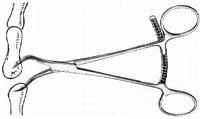 Bone Holding Forcep, 5-1/4", Stainless Steel, Each