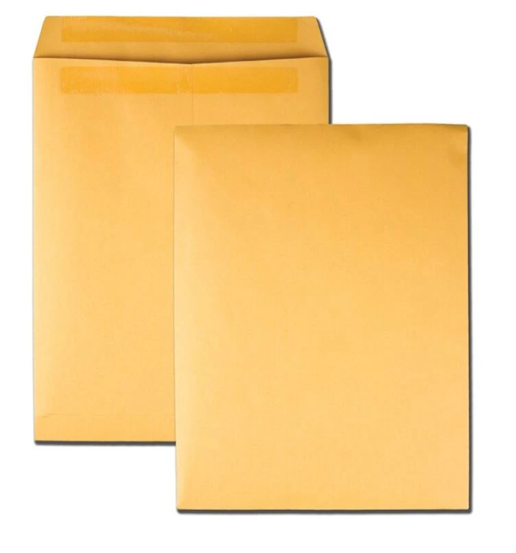 Quality Park Redi-Seal Catalog Envelope #28, 10 in x 13 in, Brown, 250/Box