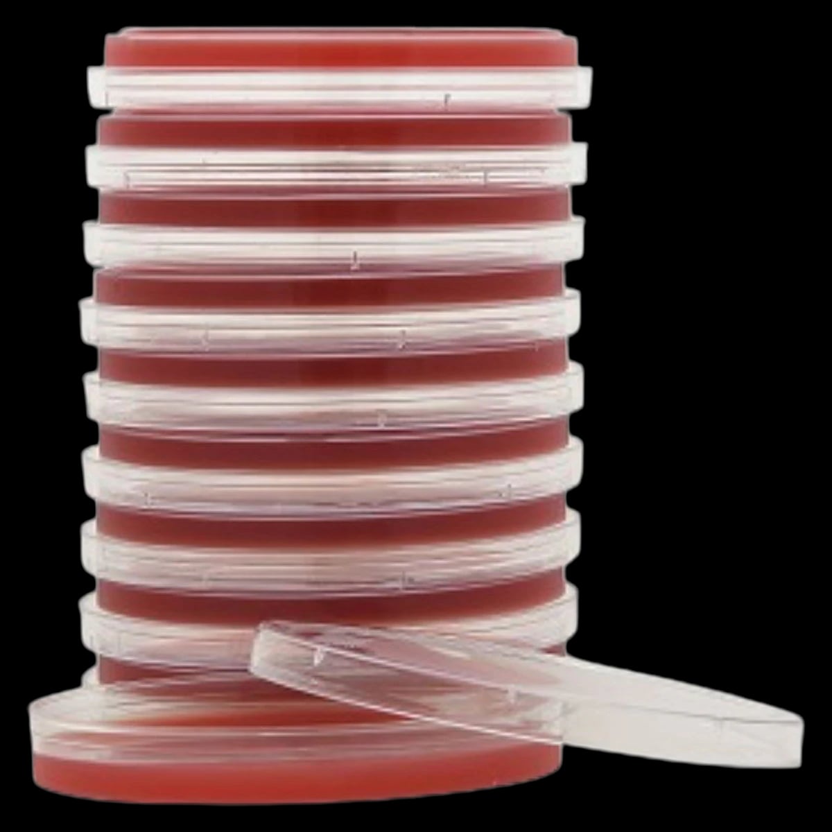 Columbia C.N.A. Agar Plate, 5% Sheep Blood, 15x100mm, 10/Package