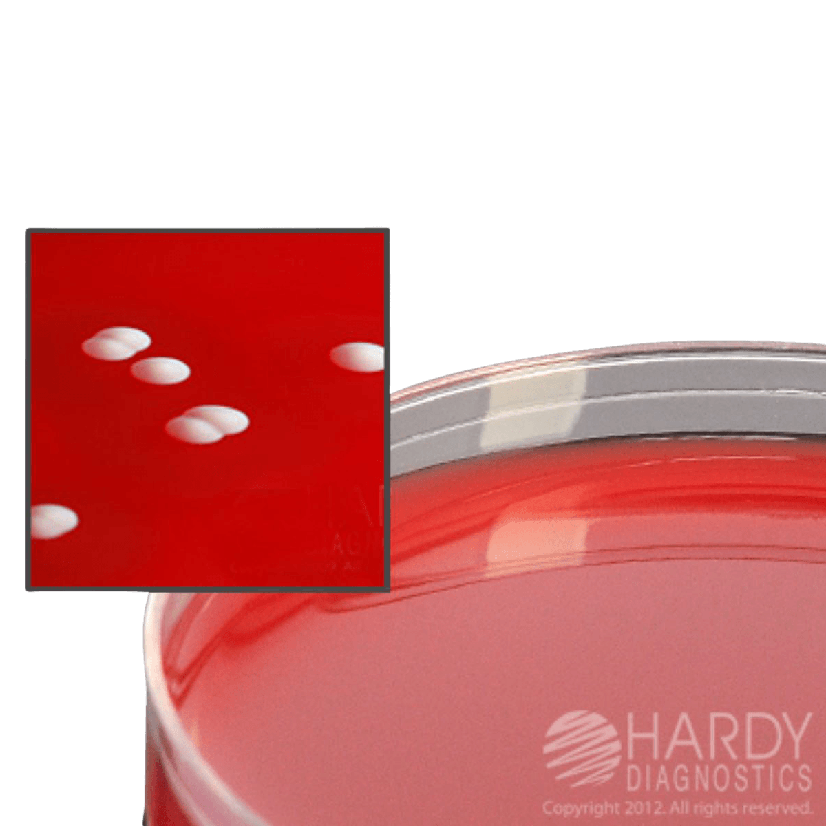 Hardy Diagnostics Phenylethyl Alcohol Agar Plate with 5% Sheep Blood, 15x100mm, 10/Package