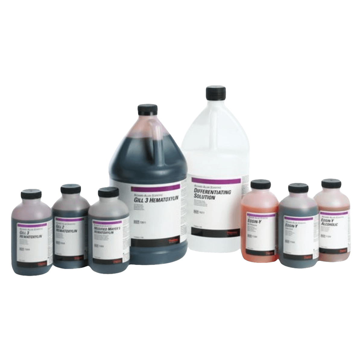 Mayer's Hematoxylin Modified Stain, 1 pt (473 mL) Bottle