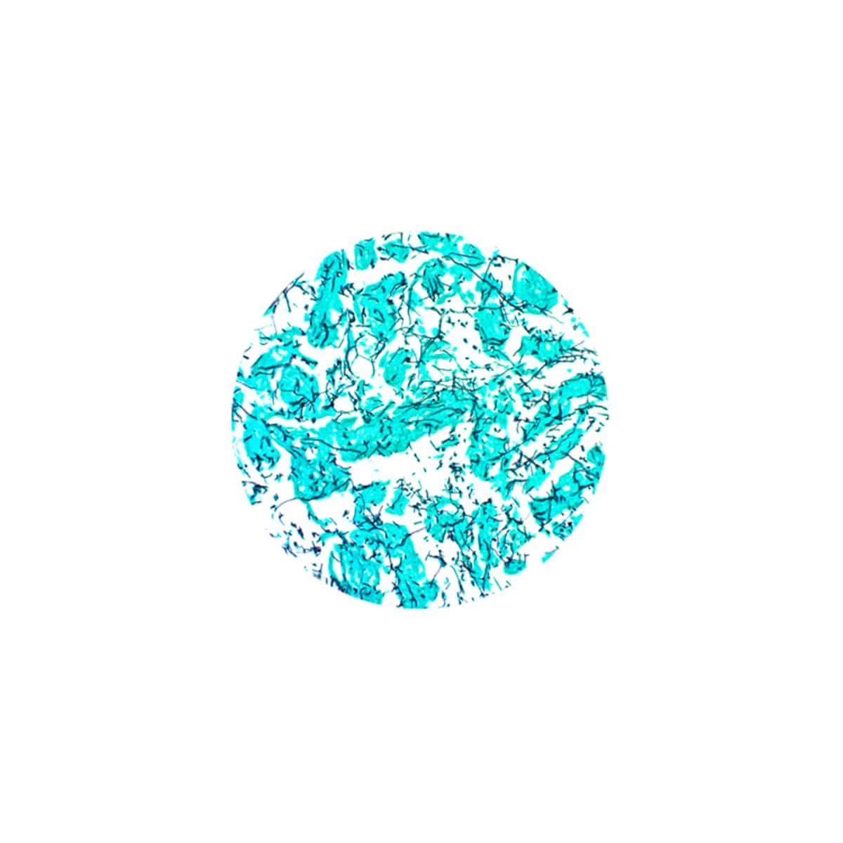 Azer Scientific GMS Stain Kit