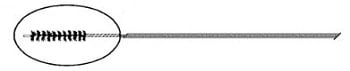 Conmed Cytology Brush, 20/Case