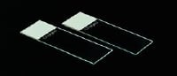 Premiere Frosted Microscope Slides, 3x1", White, Positively Charged, 1440/Case