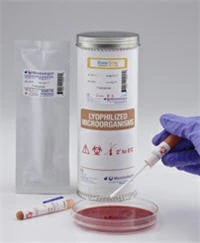 Microbiologics KWIK-STIK Control, Proteus vulgaris, Lyophilized, 2/Package