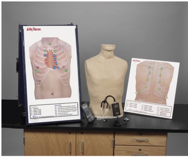 Life/form Auscultation Training Station with Posterior Board, Amplifier, and Speaker System