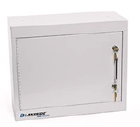 Lakeside Narcotics Cabinet, 1 Door