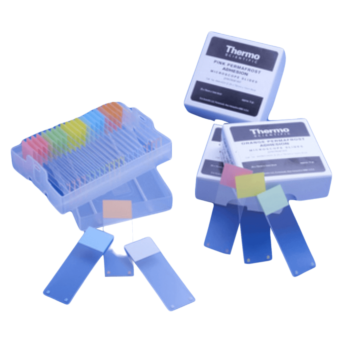 Erie Scientific Frosted Microscope Slides, 3x1 inch, White, Adhesive Coated, 1440/Case
