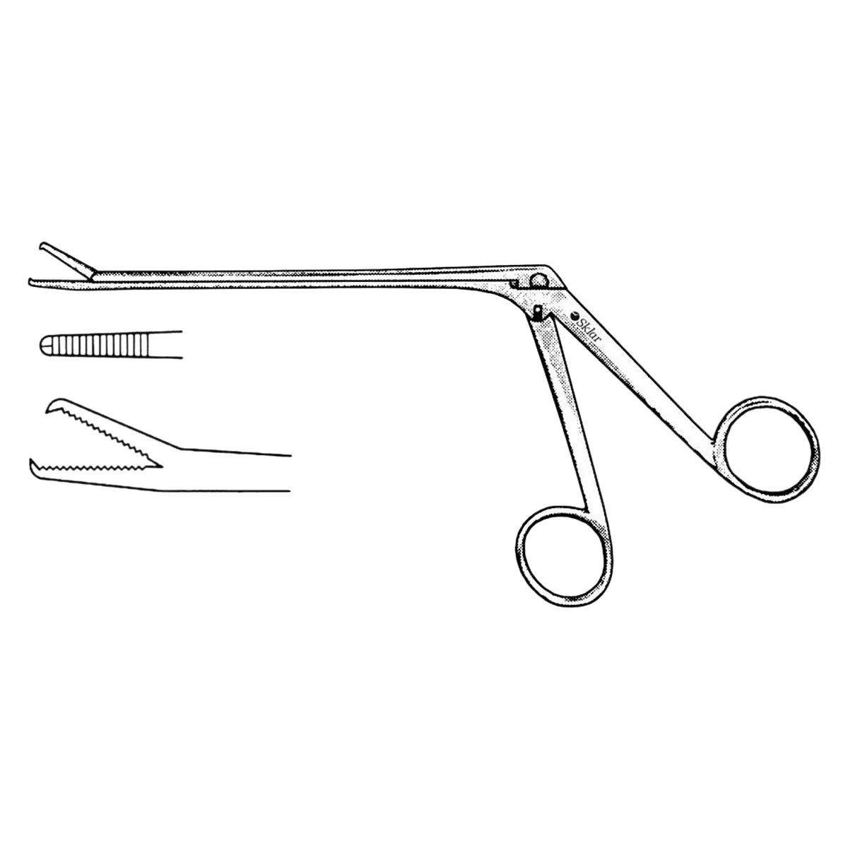 Hoen Alligator Forcep, 5-1/2" Stainless Steel, Each