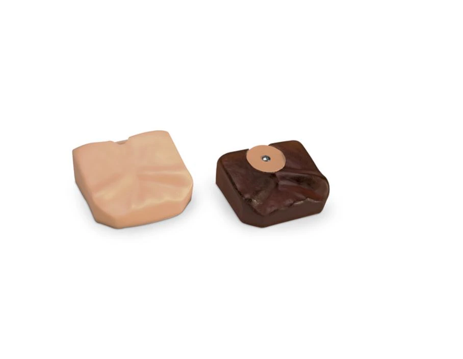 Skin Replacement FAST! Trainer Replacement Skin