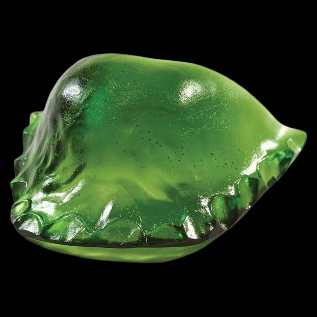 Lang Dental Ortho-Jet Orthodontic Resin Liquid, Self-Cure, Green, 1 Each