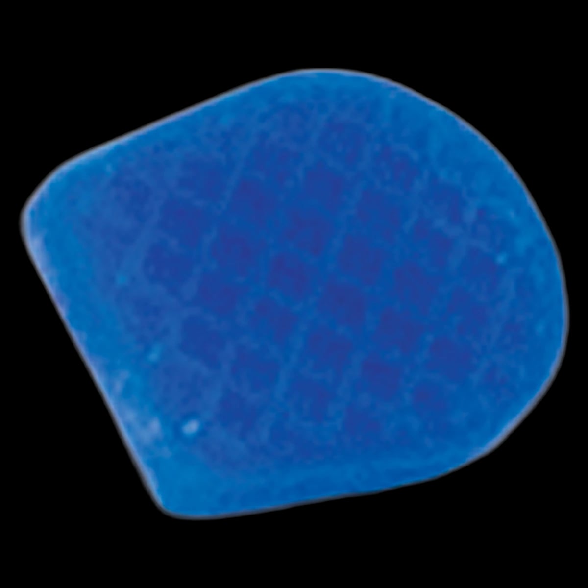 PDT Crown Removing Replacement Tips, Blue, 2/Pkg, T782