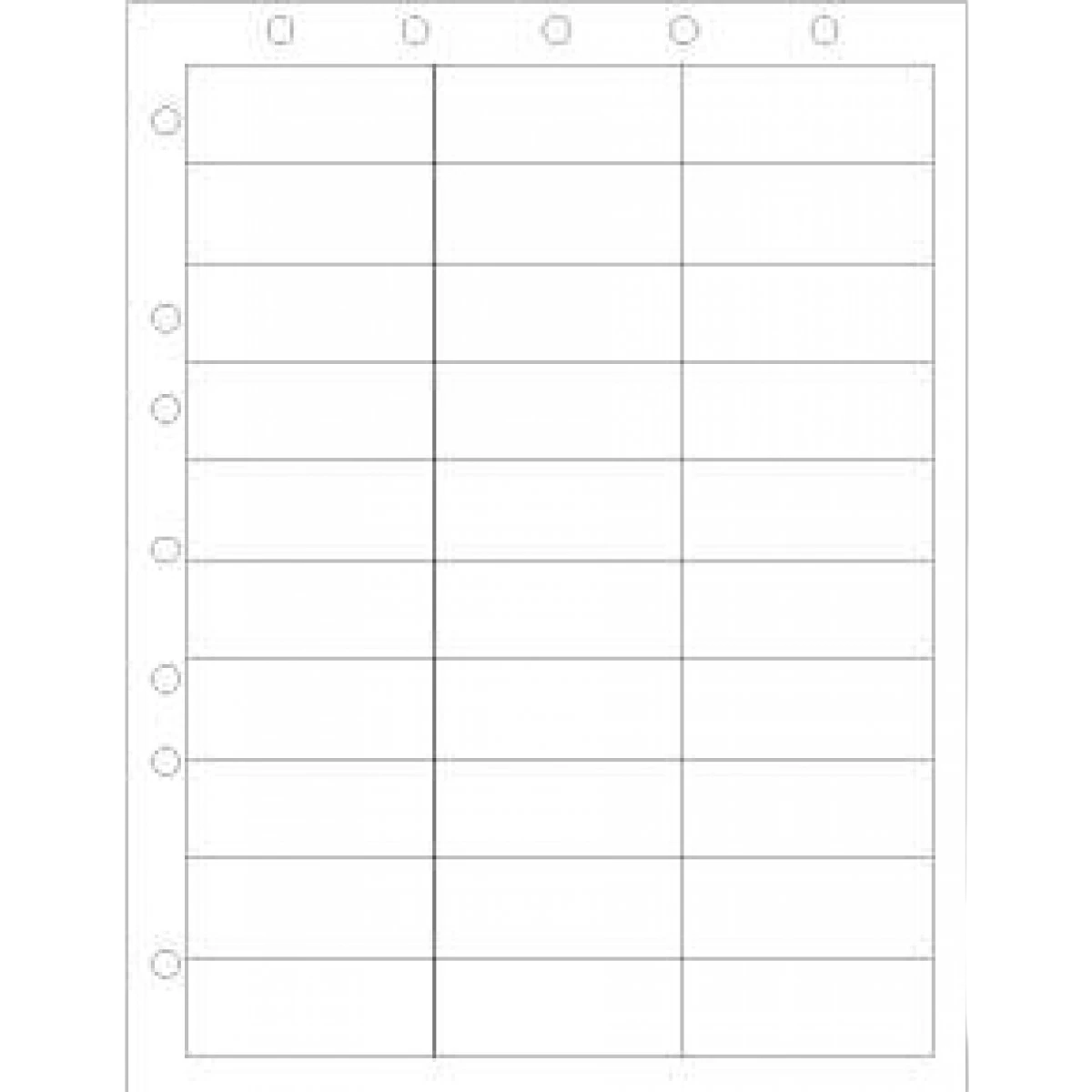 Precision Dynamics Corp. Perforated Laser Patient ID/Chart Labels with Holes, 1000/Case