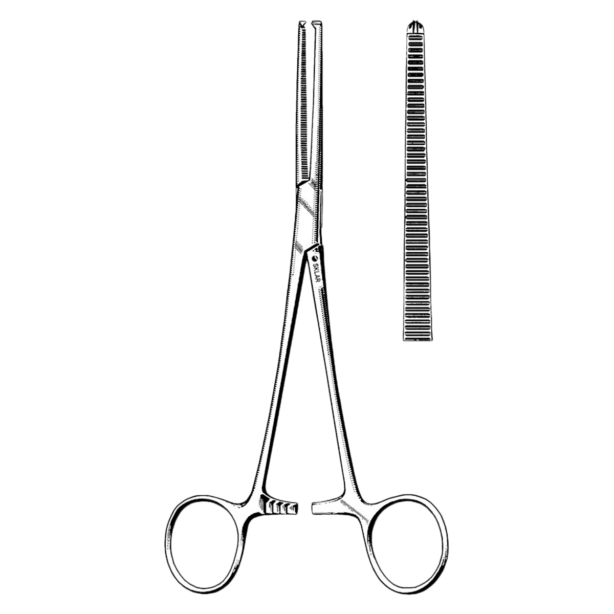 Sklar Econo Rochester-Pean Hemostatic Forceps, Curved, 8", Sterile, 25/Box