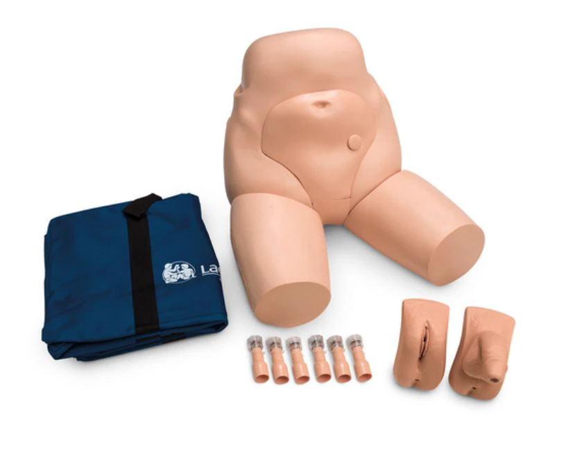 Nasco Healthcare Trainer Cath & Enema Training Simulator with Carry Case