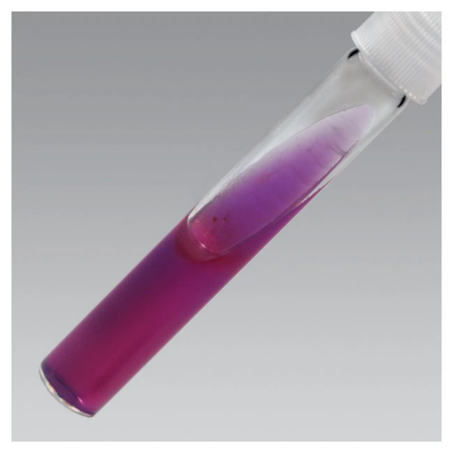 Remel Lysine Iron Agar (LIA) Slant with Caps, 100/Package