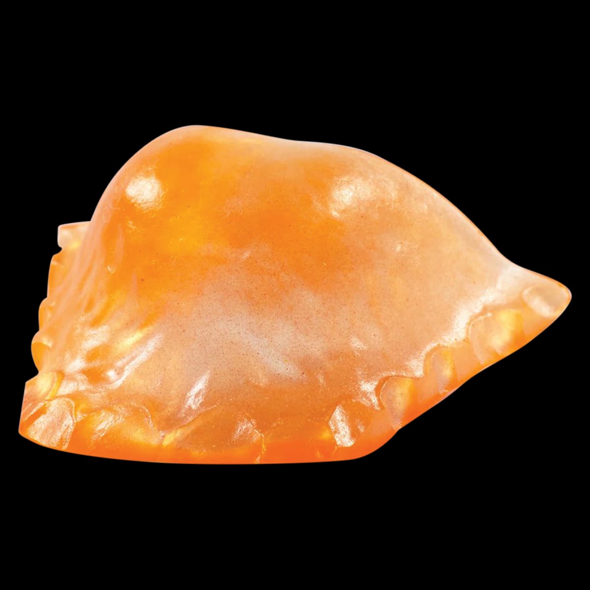 Lang Dental Electric Ortho-Jet Orthodontic Resin Powder, Orange, 1 lb Bottle