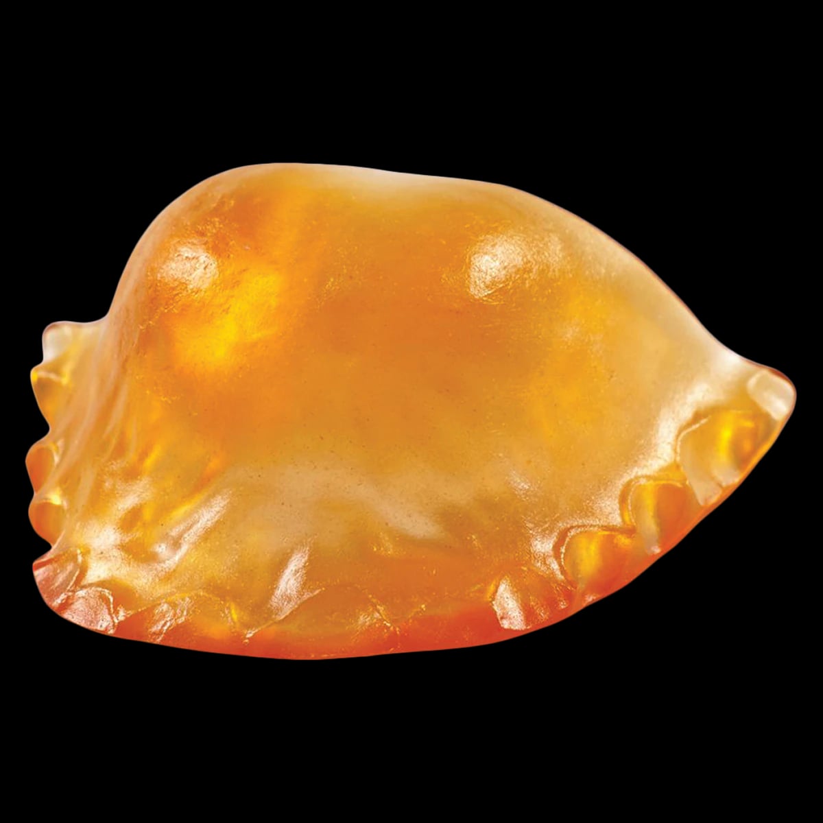 Lang Dental Contemporary Ortho-Jet Orthodontic Resin, Self Cure, Tangerine, 100g Bottle