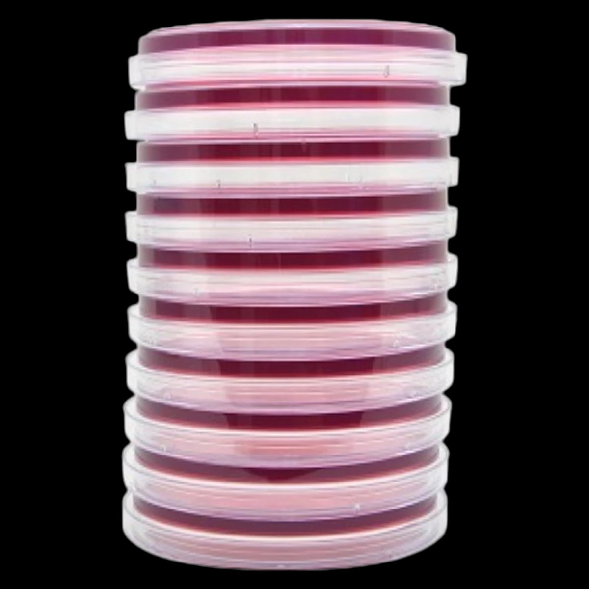Hardy Diagnostics MacConkey Agar with Ciprofloxacin Plates, 10/Pk