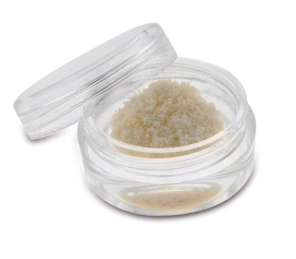 alloOss Demineralized Bone Graft Cortical Particulate Allograft, 125-710 Microns, 0.25 cc