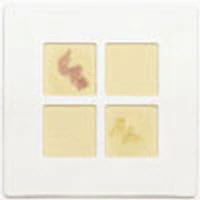 BBL DrySlide Nitrocefin Reagent, 25 Tests/Box