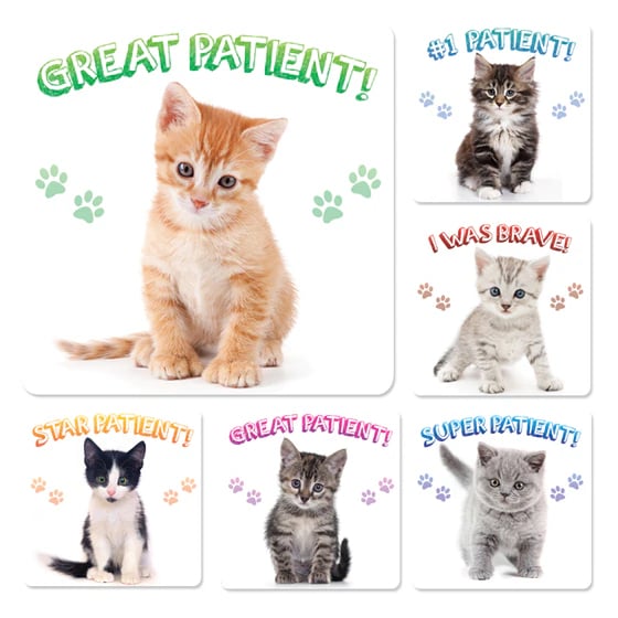 Kitten Patient Stickers, 2" Assorted Designs, 100/Roll, PS646