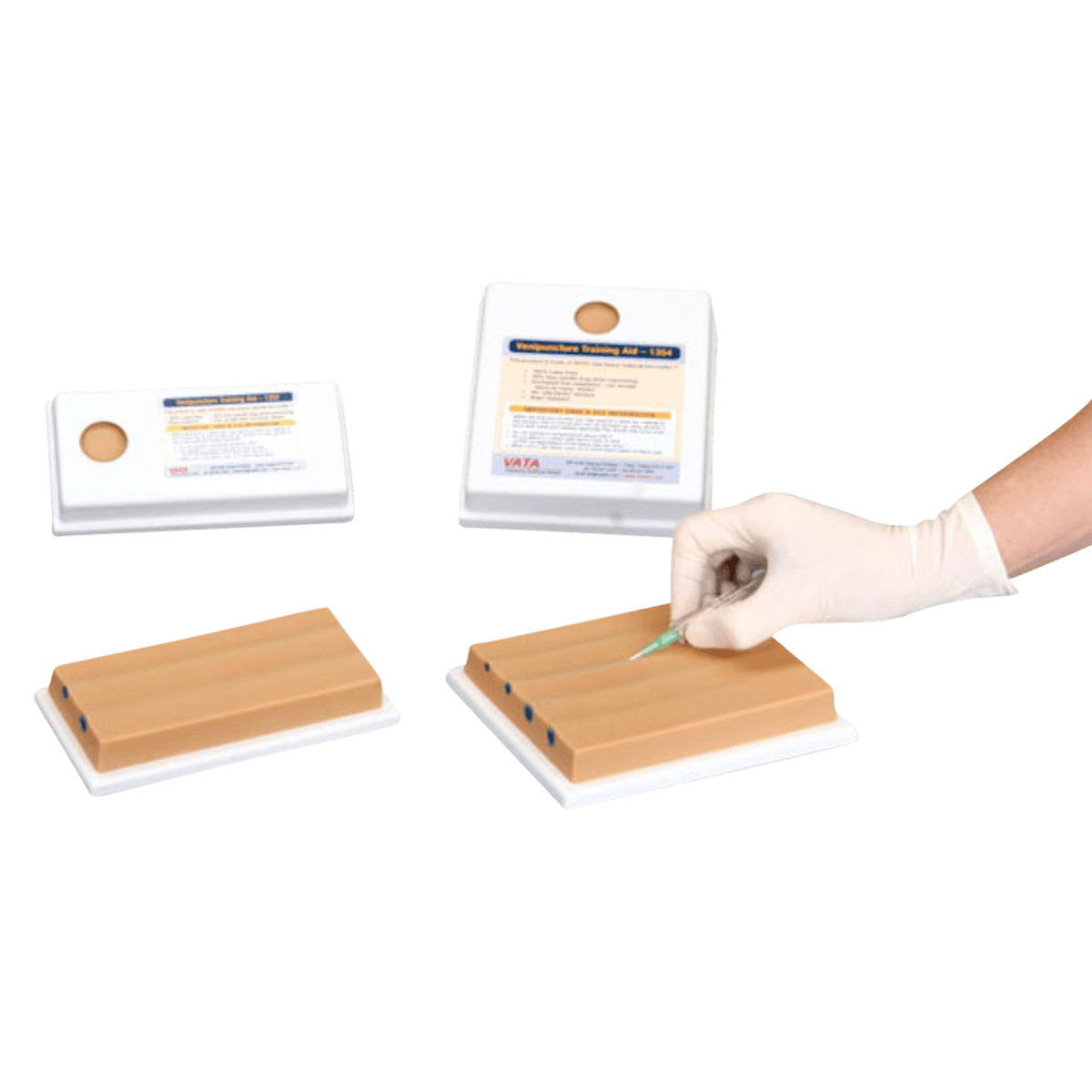Nasco Healthcare Venipuncture Training Model