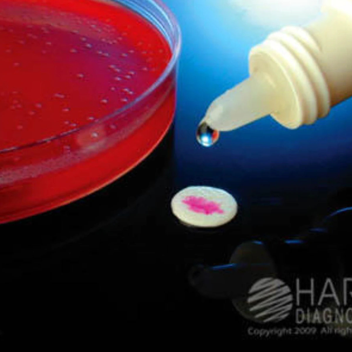 Hardy Diagnostics StrepPRO Group B Streptococcus Grouping Reagent, 3 mL