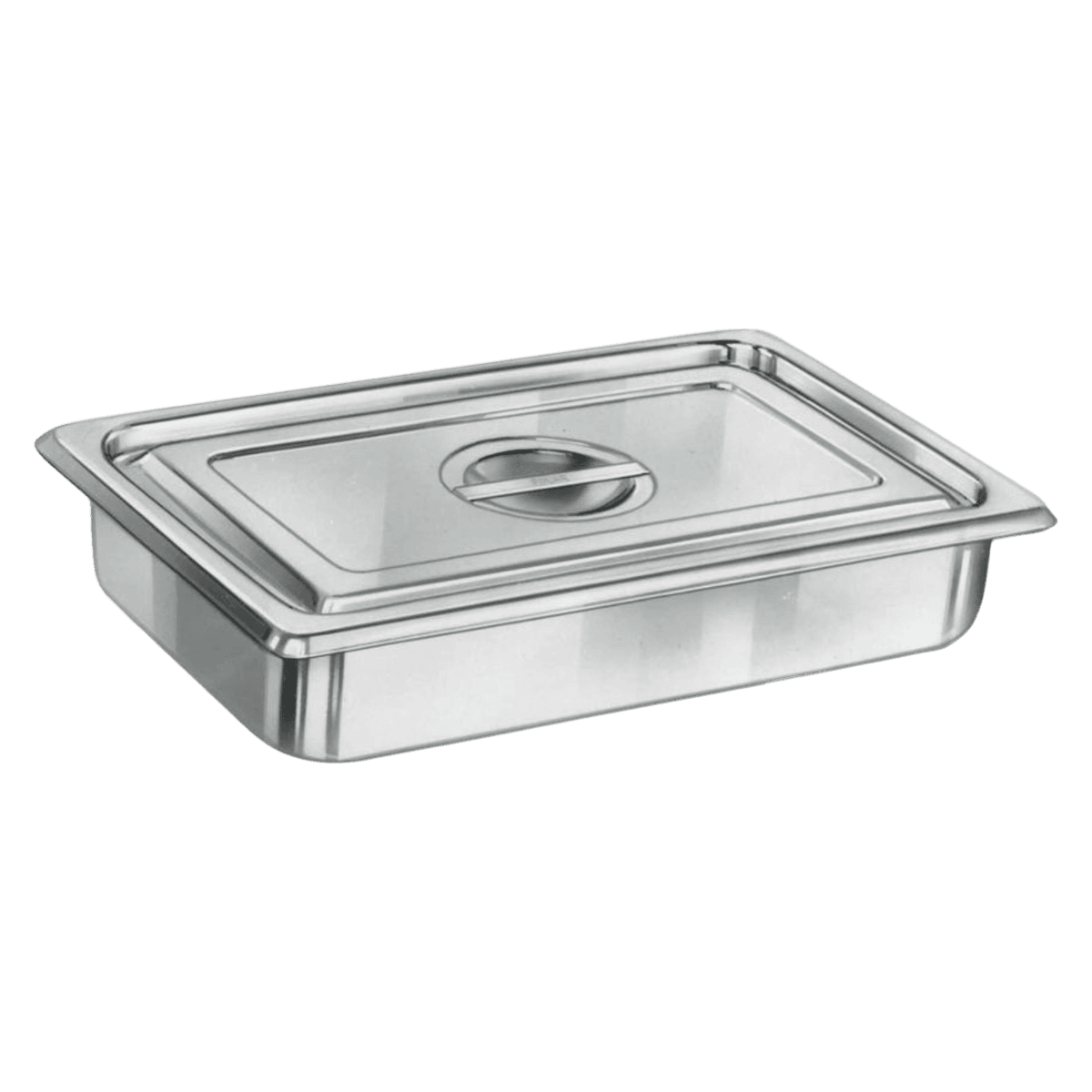 Medline Stainless Steel Instrument Tray, 16-1/2" x 10" x 4"