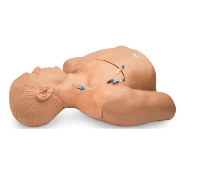 Nasco Healthcare Ultrasound Central Line Training Manikin, 21-1/2 x 22-1/2 x 9 in