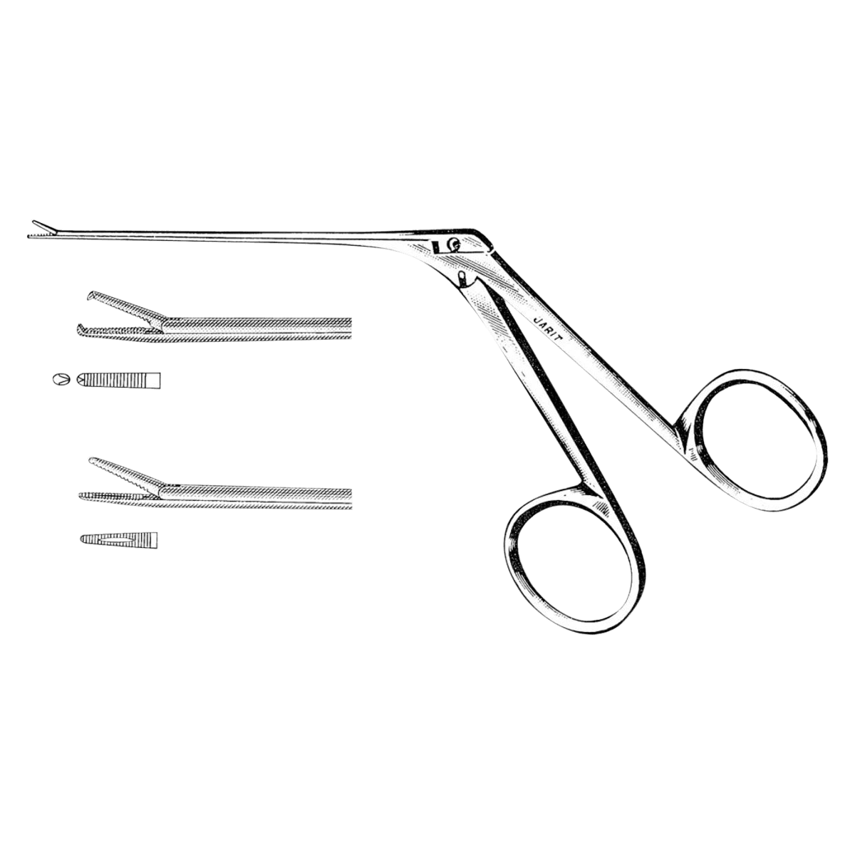 Jarit Hartman Alligator Forceps, 5.5" (5-1/2"), Stainless Steel, Each
