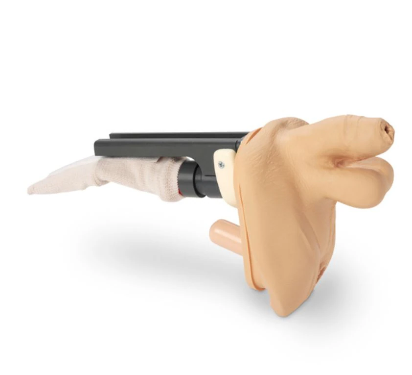 Nasco Healthcare GERI/KERI Male Genitalia Replacement Training Model