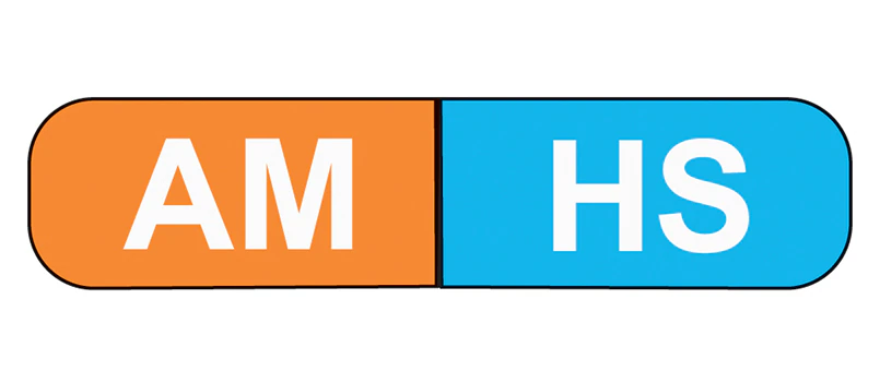 Health Care Logistics Labels AM HS, Assorted, 1-5/8 x 3/8", 1000/Package