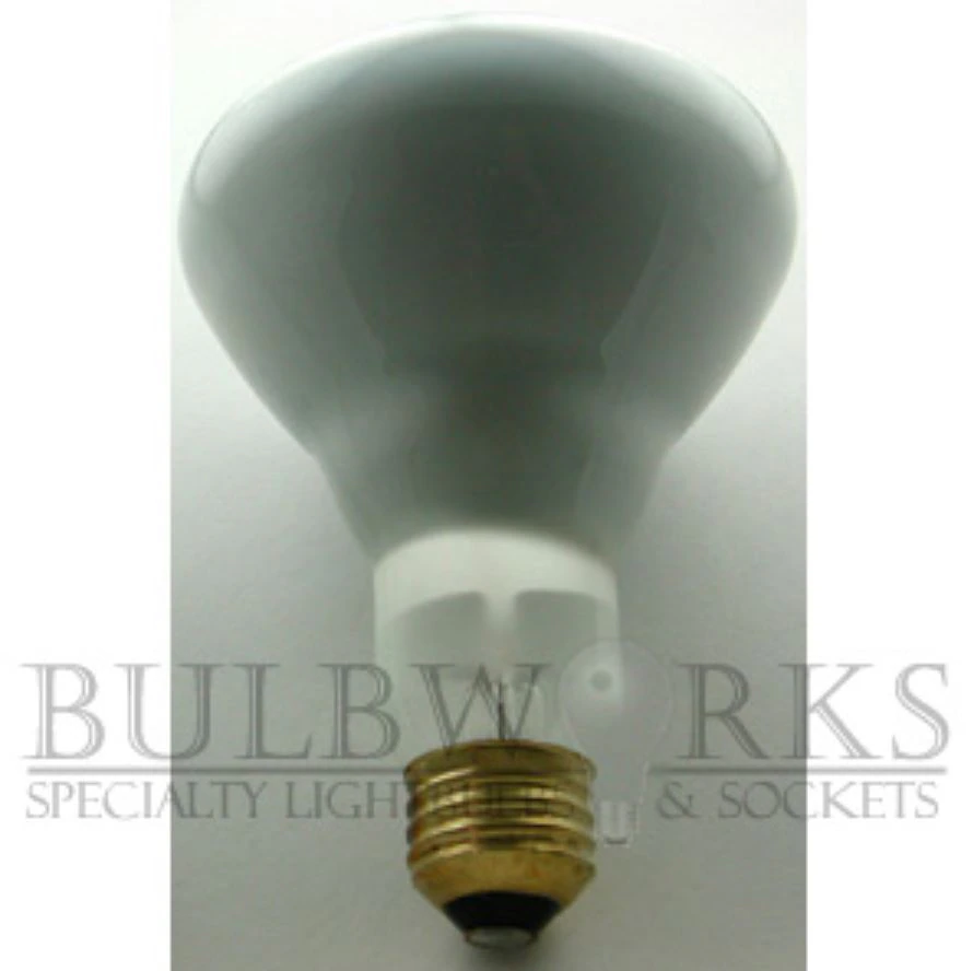 Philips BR30 Flood Incandescent Light Bulb, 65W, 120V, Medium Base, Each