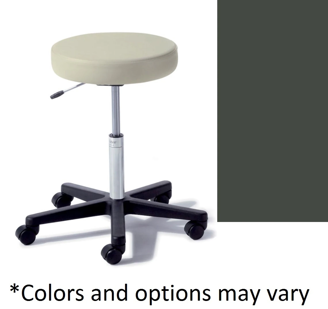 Midmark Ritter 272 Basic Stool, Shaded Garden, 300 lb Capacity