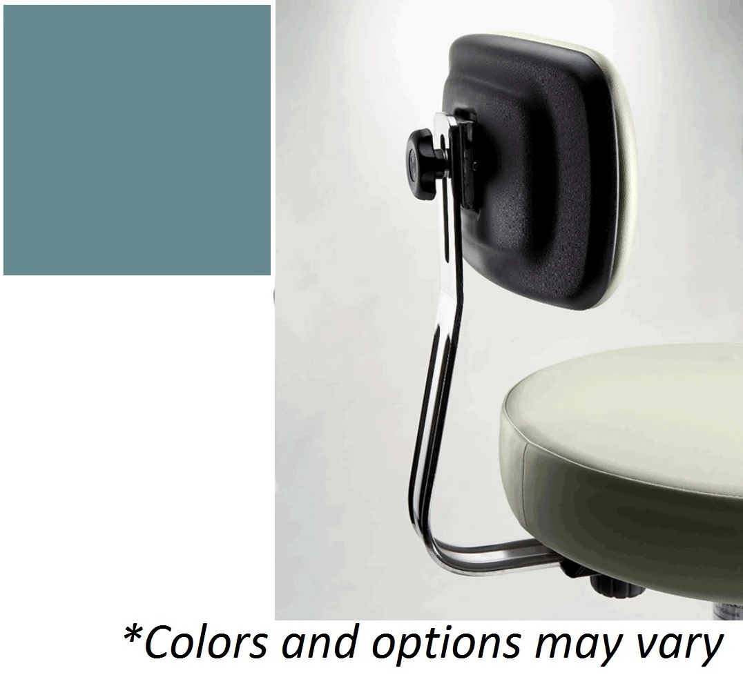 Midmark Healing Waters Backrest Kit