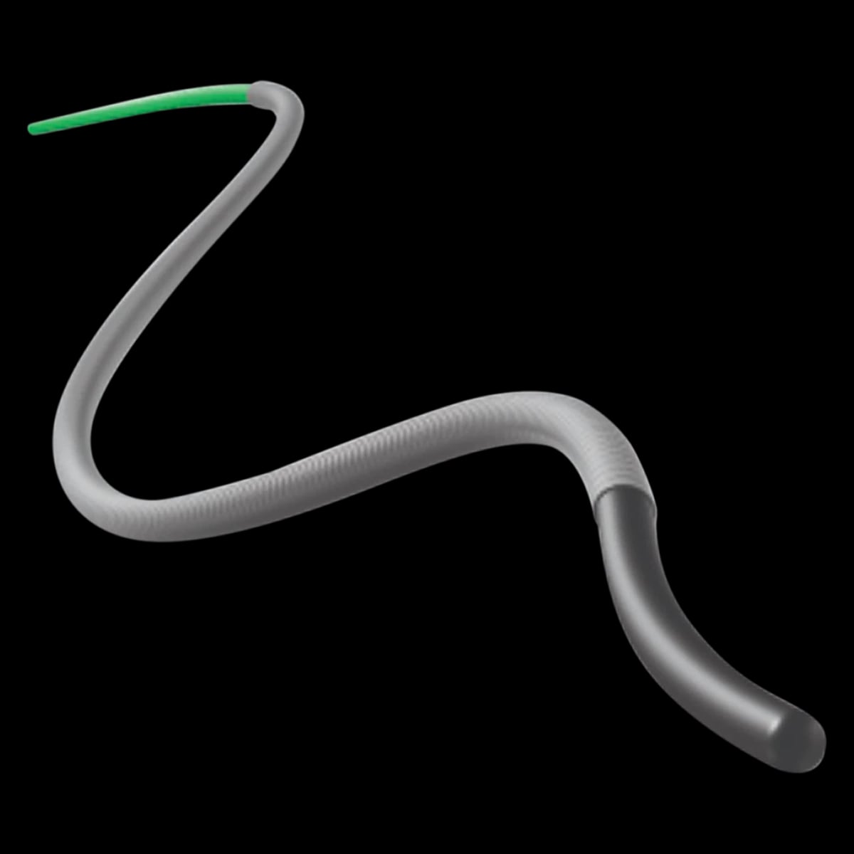 Bard Medical Hydrophilic Coated Guidewire